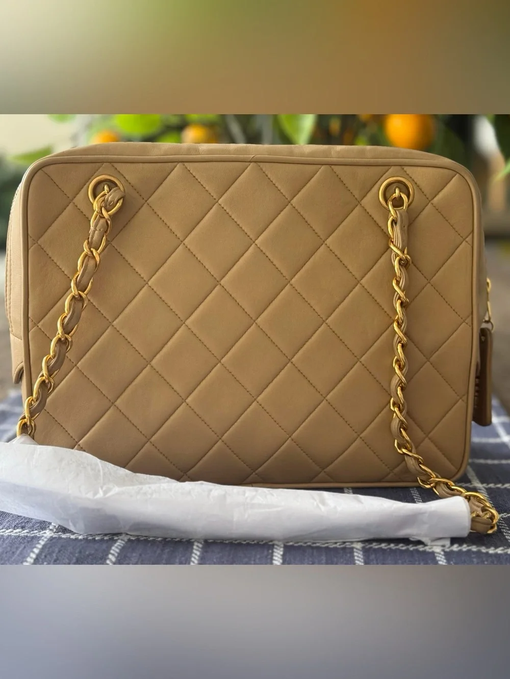 Vintage Chanel camera bag
